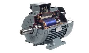 Silisli Saclar (NGO)